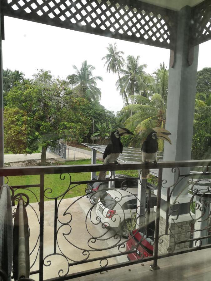 Darney'S Homestay Kg Bangau Tanjung Temerloh Eksteriør bilde
